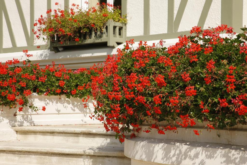 Manoir De Benerville Panzió Deauville Kültér fotó