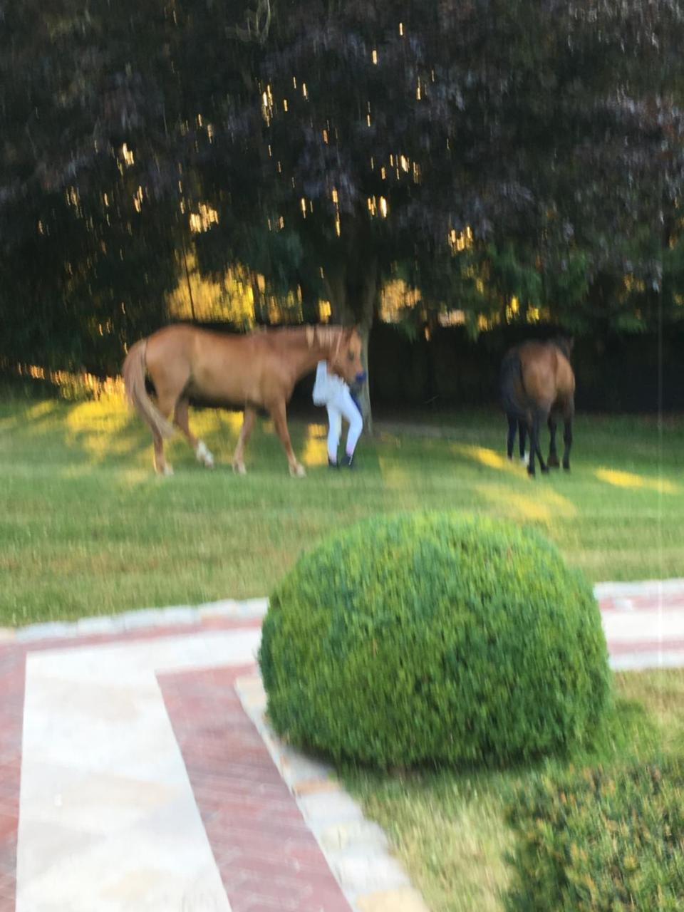 Manoir De Benerville Panzió Deauville Kültér fotó